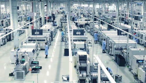 脫鉤第一槍 德國企業(yè)自斷數(shù)字服務之路